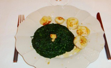 Coquilles saint jacques sur lit d’ épinards frais
